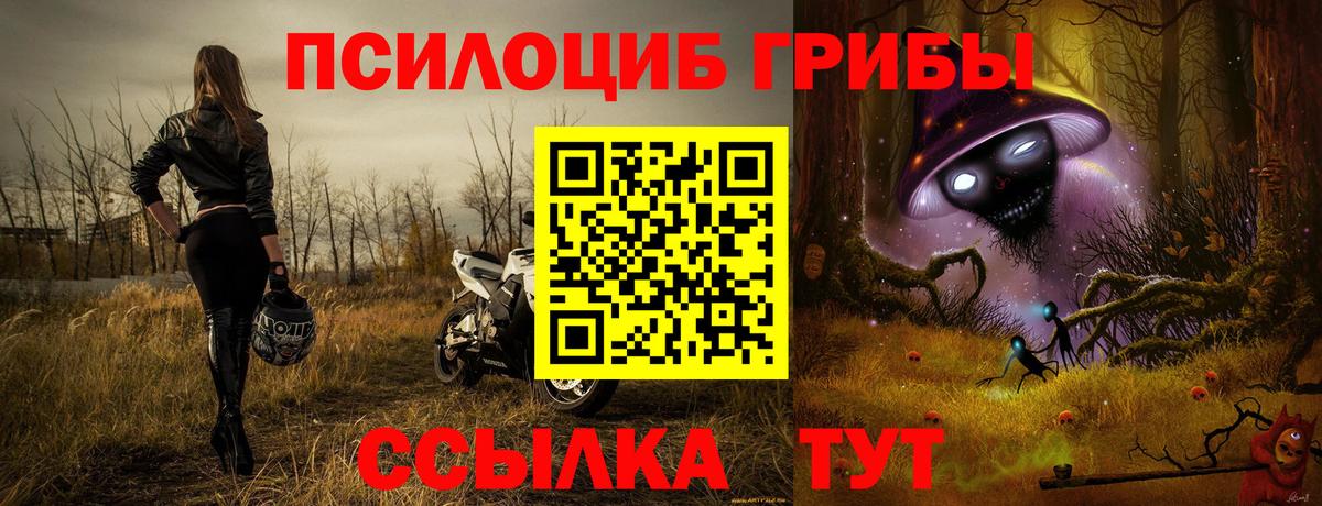 Псилоцибиновые грибы MAGIC MUSHROOMS  Вход с VPN  Благовещенск 